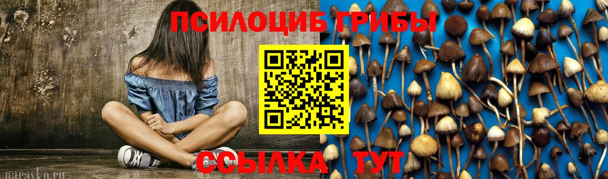 Галлюциногенные грибы мицелий Советск