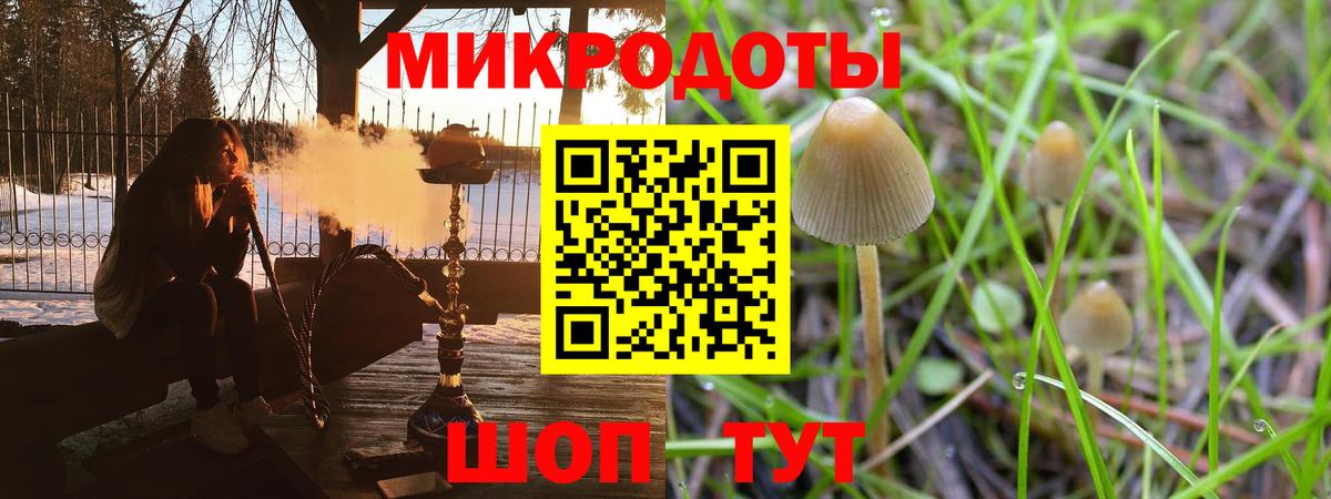 Псилоцибиновые грибы Magic Shrooms  Вход с VPN  Советск  Псилоцибиновые грибы MAGIC MUSHROOMS 